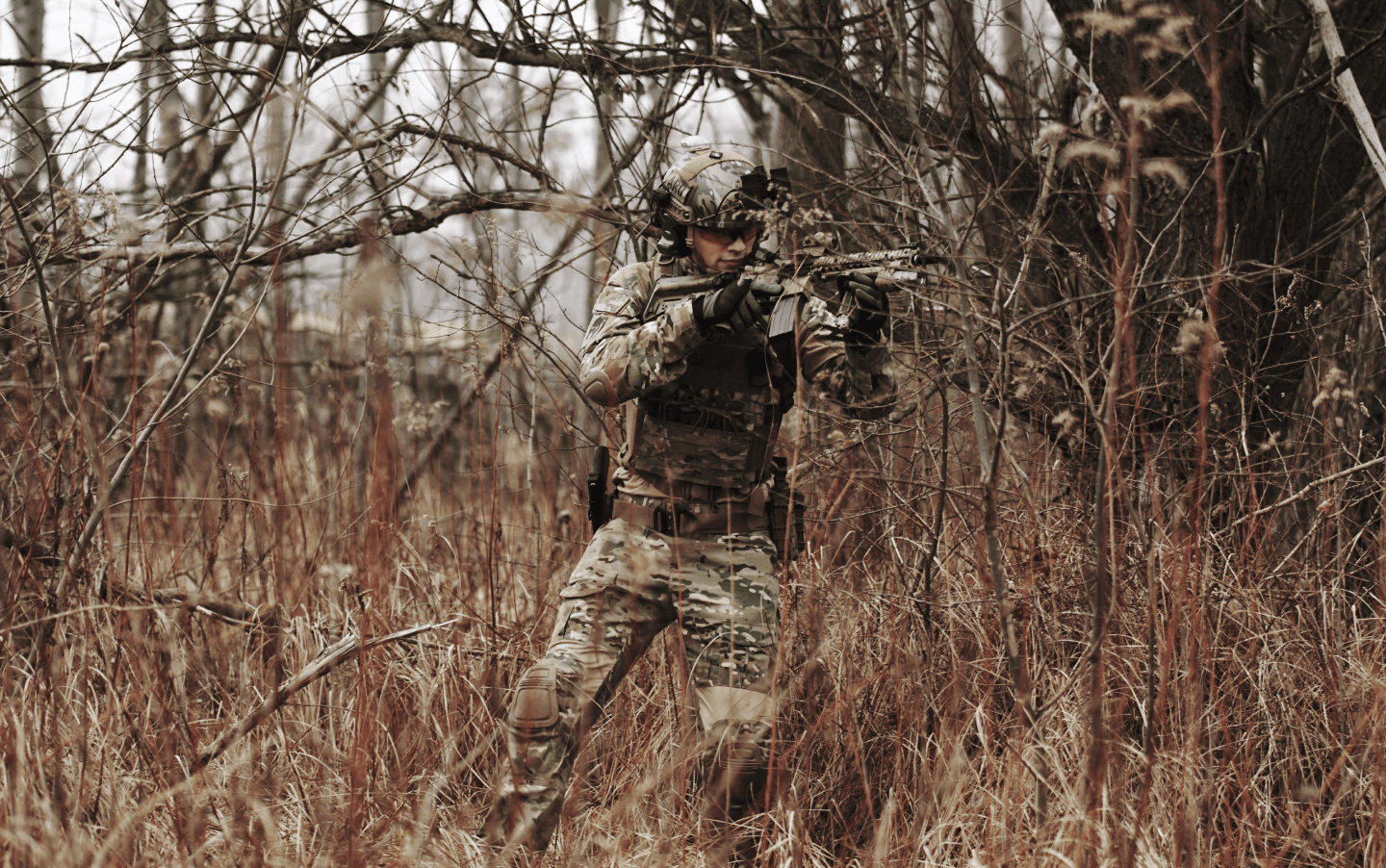 Grizzly Arena Background